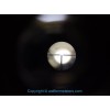 Zf4 Combo, Scope + Mount for the G43 K43 Sniper Rifle WWII German 